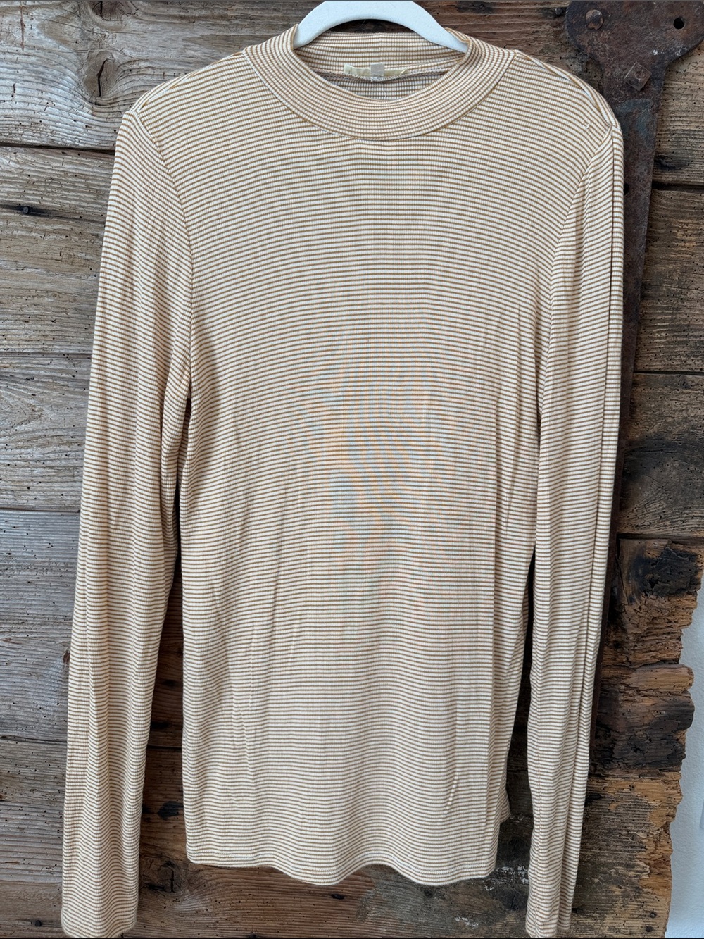 Striped Long-Sleeve Crewneck Top - Beige/Ivory